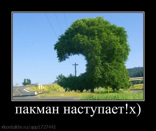http://cs9772.vkontakte.ru/u11039342/21664334/x_0fefd85d.jpg